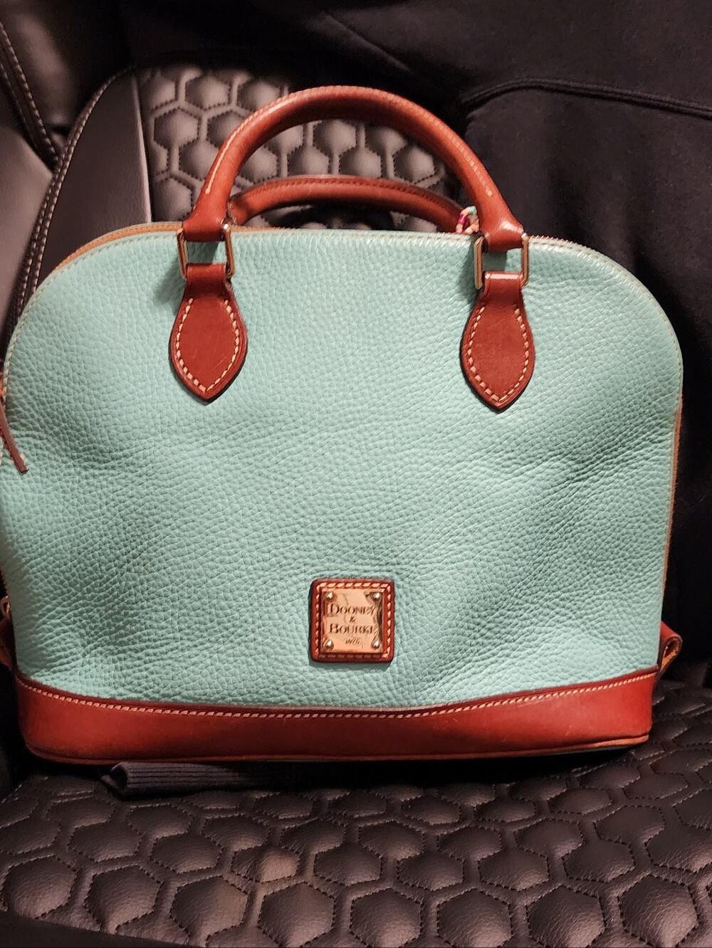 Dooney & Bourke Mint Dome Satchel with Brown Trim
